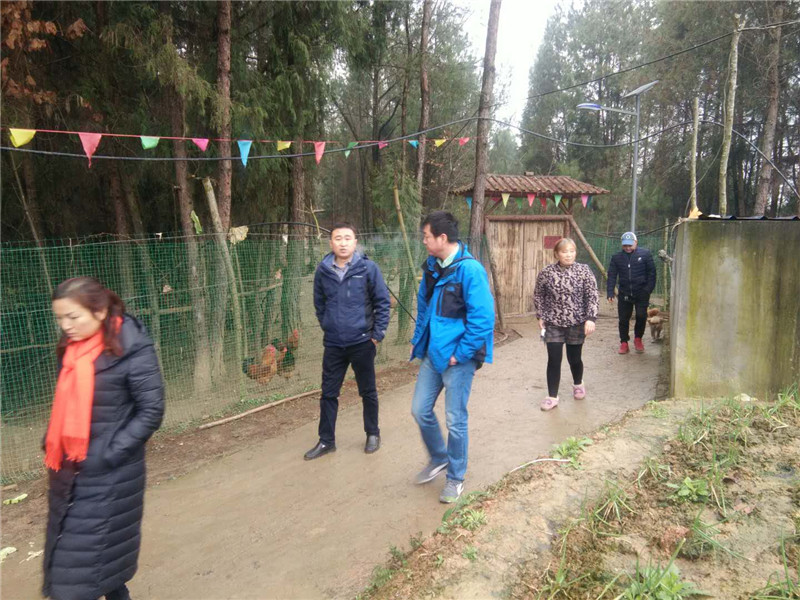 旺苍县委副书记王雄武到天星村调研督导科技扶贫项目执行情况1_副本.jpg