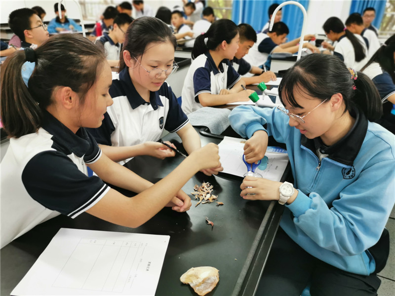 “科技强国，科普惠民”科技活动周纪实二——蓉城科普小讲堂走进师大一中1_副本1.jpg